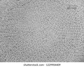 Micrograph Of Dendritic Microstructure Of The Stainless Steel Weld Metal