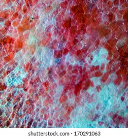 Micrograph Plant Cells Pattern,red Cherry Fruit Peel Cell, Science Background.