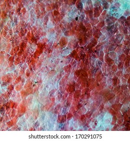 Micrograph Plant Cells Pattern,red Cherry Fruit Peel Cell, Science Background.