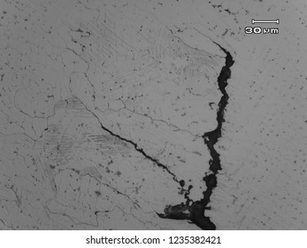 Micrograph Of Stainless Steel Weld Showing Dendritic Structure Formed After Solidification Of Weld Metal With Micro Shrinkage