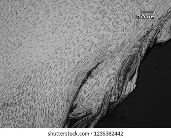 Micrograph Of Stainless Steel Weld Showing Dendritic Structure Formed After Solidification Of Weld Metal With Smear Metal