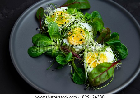Microgreen
 on the salad. Decorating the salad with steams of microgreens. Diet food. Boiled eggs and fresh next to fresh crispy greens. Contemporary style salad. Restaurant dish top view. 