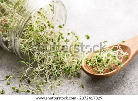 Microgreens grown in a jar.  Healthy Eating