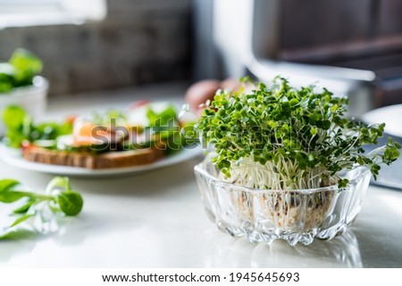 Microgreens sprouts in glass bowl on white kitchen table with healthy meal on the background. Healthy diet and cooking. Home planting and food growing. Sustainable lifestyle. Selective focus