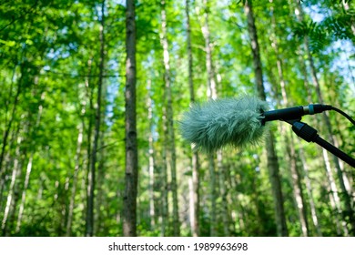 Microphone In The Forest, Recording Nature Sounds