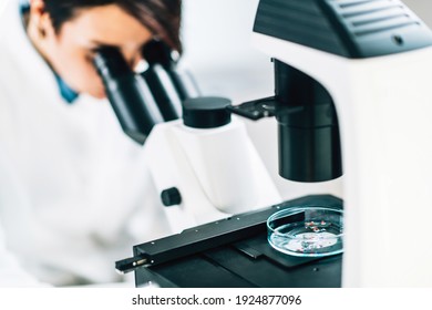 Microplastics Laboratory Research. Scientist using a microscope to analyze and quantify plastic particles in a water sample 
