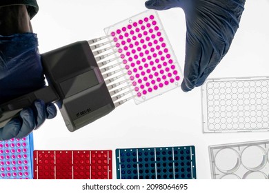 A microplate or microtiter plate or  microwell plate, multiwell,  is a flat plate with multiple  wells  used as small test tubes.   