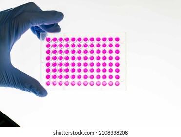 A microplate or microtiter plate or  microwell plate, multiwell,  is a flat plate with multiple  
 Microplate is a standard tool in analytical research and clinical and diagnostic testing laboratory.