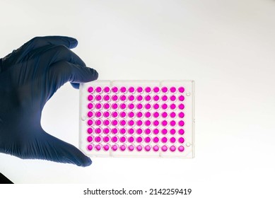 A microplate or microtiter plate or  microwell plate, multiwell,  is a flat plate with multiple  wells  used as small test tubes.  Microplate is a standard tool in analytical research and clinical and