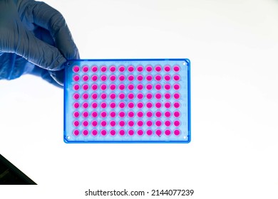 A microplate or microtiter plate or  microwell plate, multiwell,  multiple  wells  used as small test tubes.  Microplate is a standard tool in analytical research and clinical and diagnostic testing l