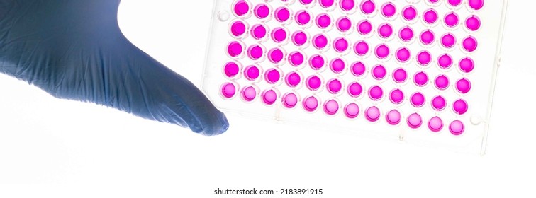 A microplate or microtiter plate or  microwell plate, multiwell,   as small test tubes.  Microplate is a standard tool in analytical research and clinical and diagnostic testing laboratory.