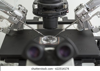 Microscope For IVF With Petri Dish. It Is A Fertilization Process Of A Female Egg. Closeup. Horizontal.