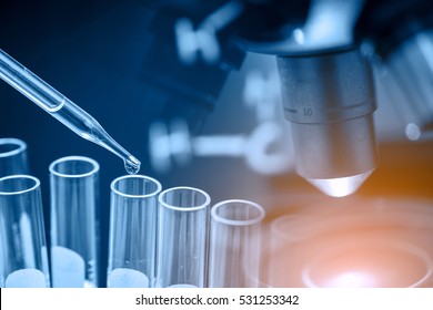 microscope with lab glassware, science laboratory research and development concept  - Shutterstock ID 531253342