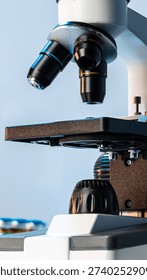 Microscope in a lab setting used for scientific observation and research tasks