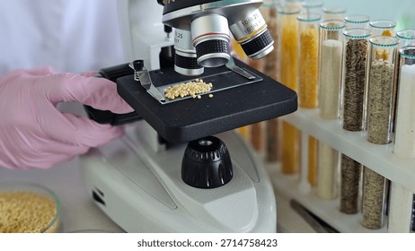 A microscope in a laboratory with millet of different groups. Testing for GMO in food products