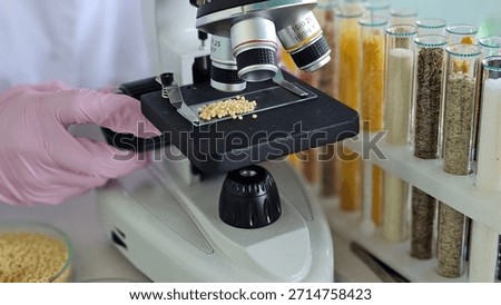 A microscope in a laboratory with millet of different groups. Testing for GMO in food products