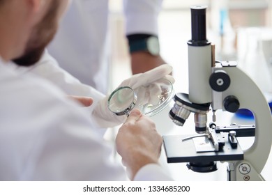 Microscope for laboratory research. Photo of a medical microscope close-up. science laboratory research and development concept