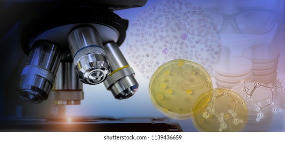 Microscope in microbiological laboratory concept