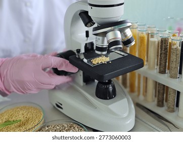 Microscope observation of seeds in a lab setting during daylight hours