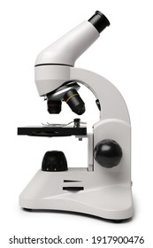 Microscope Hd Stock Images Shutterstock