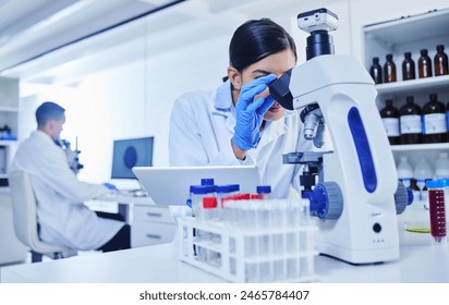 Microscope, scientist and research in lab with study for pathology, vaccine test and medical innovation. Woman, tablet and investigation with biotechnology for stem cell, science and development