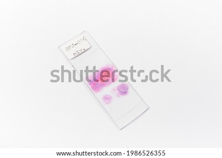 Microscope slide and coverslide with specimen isolated in whitebackground. Medical, histology, heathcare concept