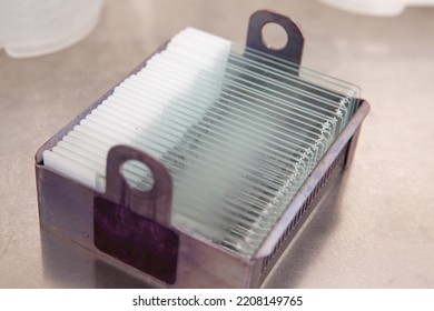 Microscope Slides With Paraffin Embedded Tissue Samples Into A Slide Staining Rack. Fluorescent Immunohistochemistry Staining Of Paraffin-embedded Tissue Sections.