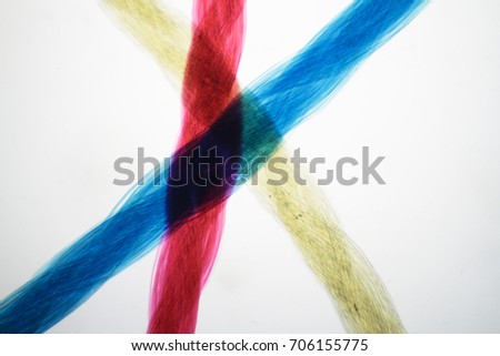 Microscope view of silk fibrer