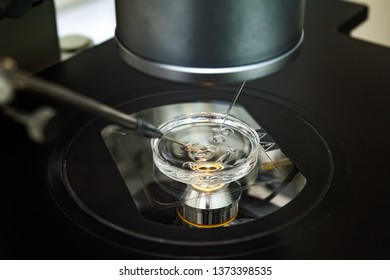 Microscope for in vitro fertilization process close up. The process of artificial insemination in IVF clinic. 