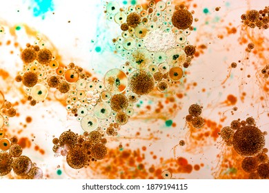 A microscopic closeup of bacteria and microbes