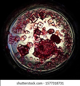 Microscopic crystals of ocean salt  precipitated in a glass with pomegranate juice