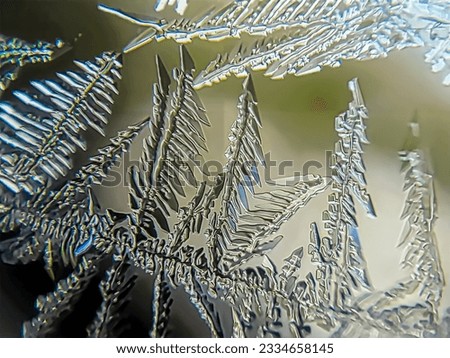 Microscopic image of natural ice formation on a glass window.  Looks like leaves.