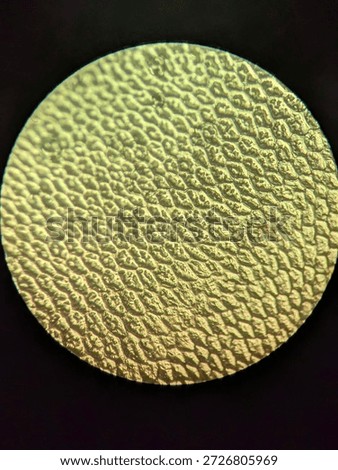 Microscopic Pattern of Fish Scale Growth Rings and Radial Grooves