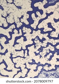 Microscopic Photo Of Gram Positive Bacteria On Slide