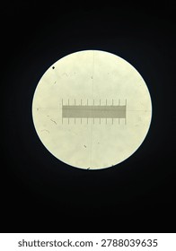 Microscopic view of a calibration slide using a biological microscope with 40x and 100x total magnification (4x and 10x objective lenses). The image shows the precise micrometer scale used to measure specimen size in laboratory research. High-quality reference images for microbiology, metrology, and scientific instrumentation.
