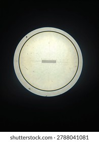 Microscopic view of a calibration slide using a biological microscope with 40x and 100x total magnification (4x and 10x objective lenses). The image shows the precise micrometer scale used to measure specimen size in laboratory research. High-quality reference images for microbiology, metrology, and scientific instrumentation.