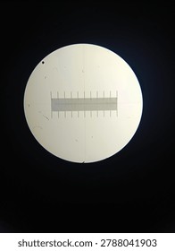 Microscopic view of a calibration slide using a biological microscope with 40x and 100x total magnification (4x and 10x objective lenses). The image shows the precise micrometer scale used to measure specimen size in laboratory research. High-quality reference images for microbiology, metrology, and scientific instrumentation.