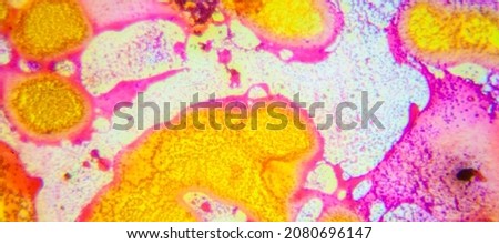 microscopic view microscope slider microscopic view