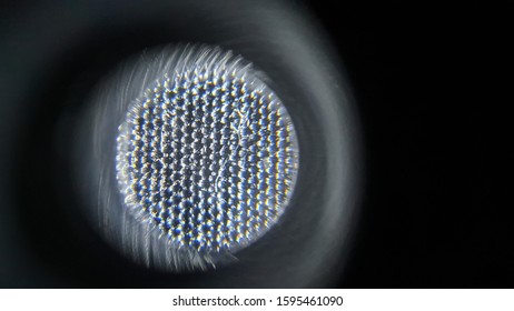 microscopic view of safty belt material with normal lighting