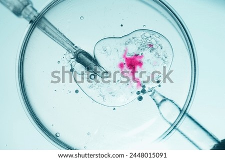 Microscopic view of in vitro fertilization procedure