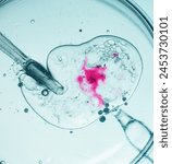 Microscopic view of in vitro fertilization process