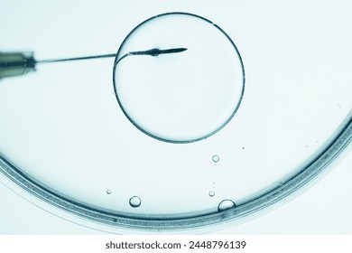 Microscopic view of in vitro fertilization process