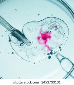 Microscopic view of in vitro fertilization process