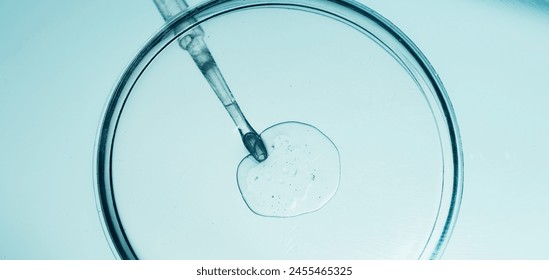 Microscopic view of in vitro fertilization process