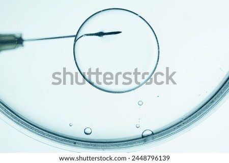 Microscopic view of in vitro fertilization process