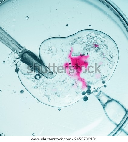 Microscopic view of in vitro fertilization process