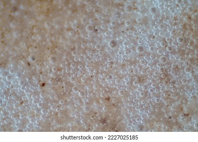 The Microscopic World. Bubble structure of ice cream.