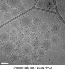 Microscopy Visualization Of Liposomes Nanoparticles Used In Nanomedicine For Drug Delivery - Cryo-EM