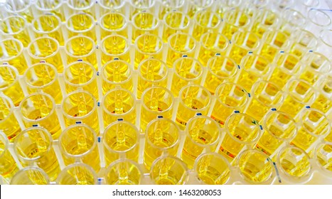 Microtiter or microplate consists of many small wells (like tiny test tubes) for colorimetric reactions to occur. Commonly used in numerous analytical research and clinical diagnostic areas.