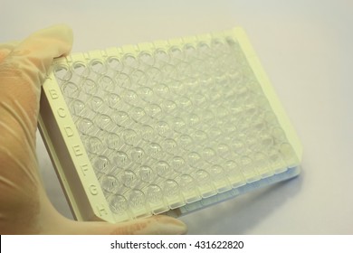 microtiter plate for experiments and analysis
